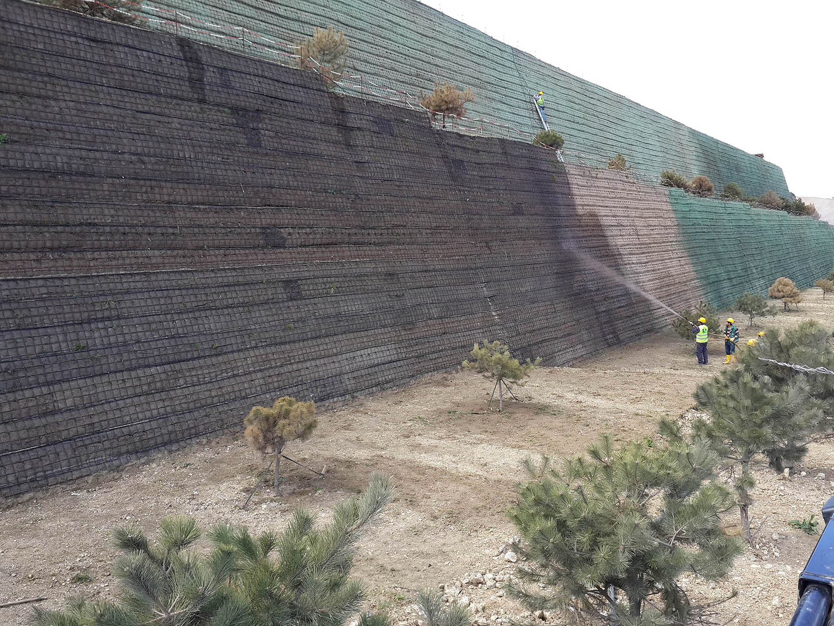 Hydroseeding in large size area